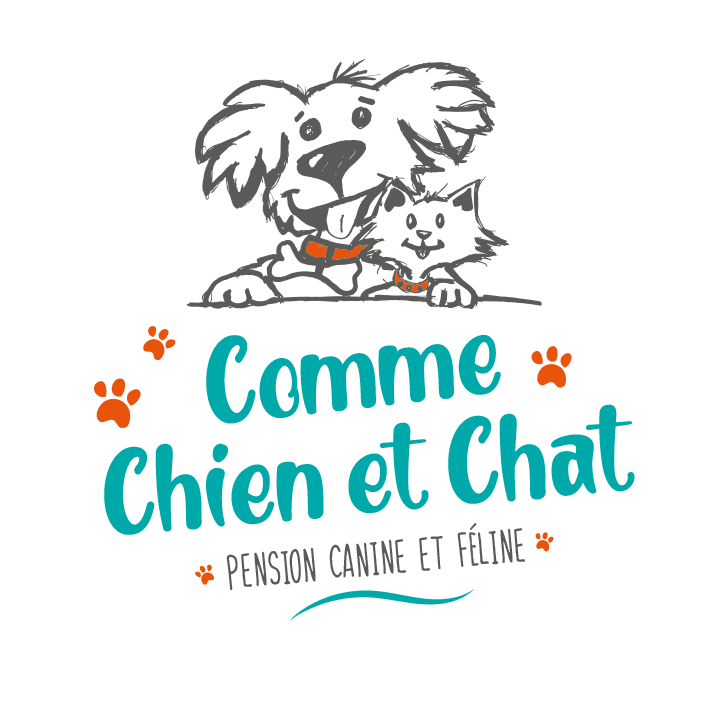 Notre Pension En Vendee Comme Chien Et Chat